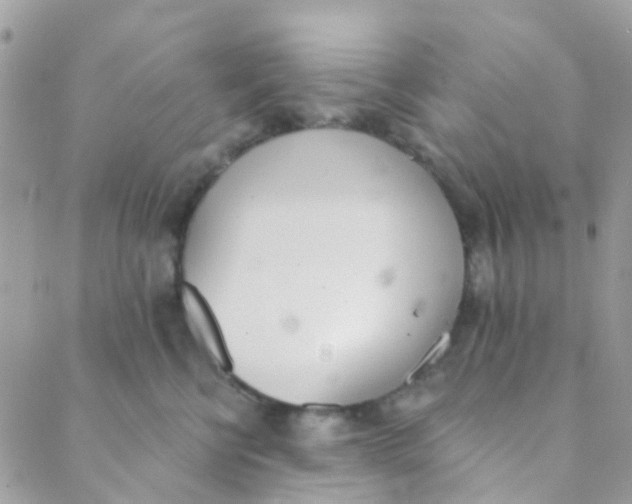 X0000089420570200707061322