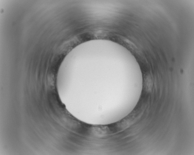 X0000089420571200707061322