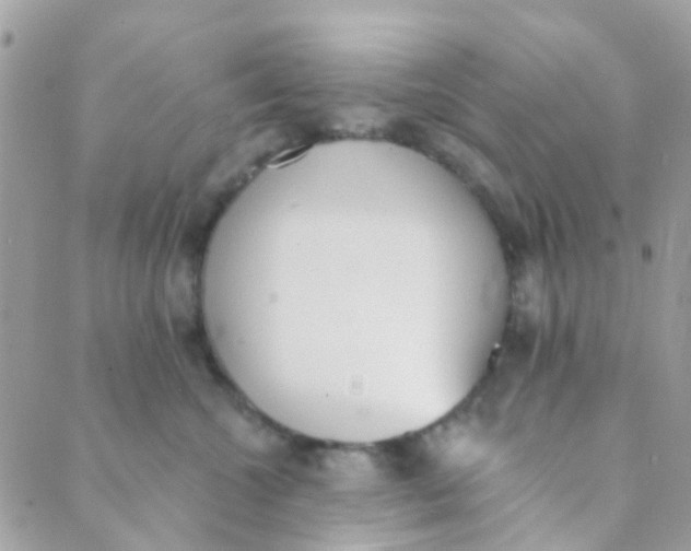 X0000089420572200707061322