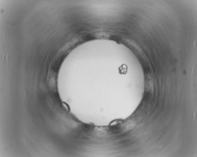 X0000089420573200707061322