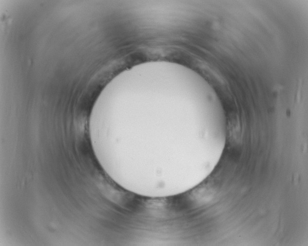 X0000089420574200707061322