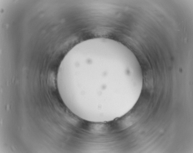 X0000089420575200707061322