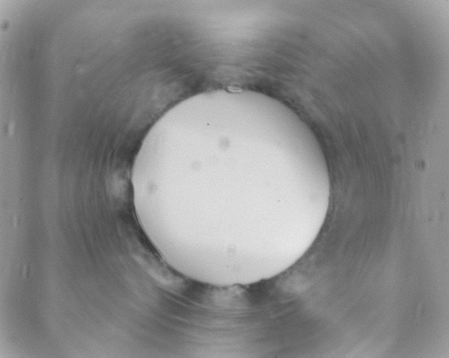 X0000089420576200707061322