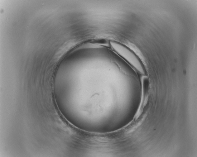 X0000089420577200707061321