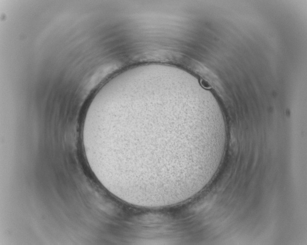 X0000089420578200707061321