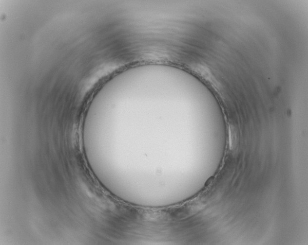 X0000089420579200707061321