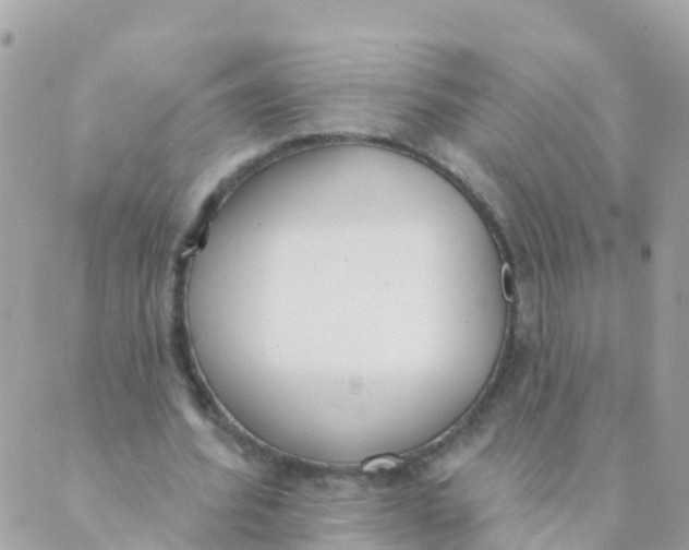 X0000089420580200707061321