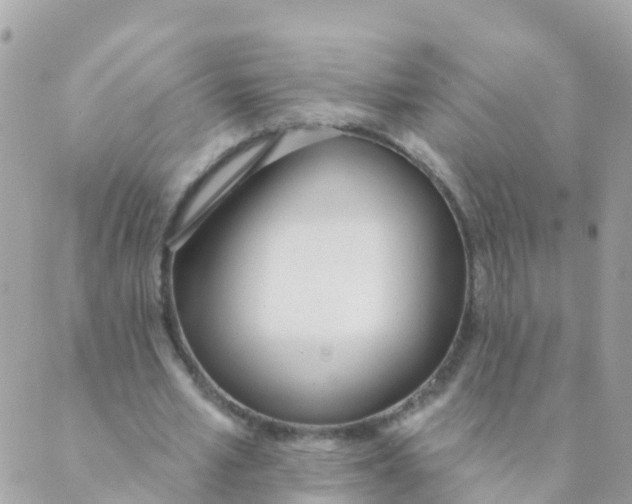 X0000089420581200707061321