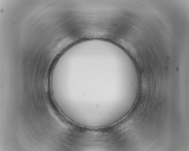 X0000089420582200707061321