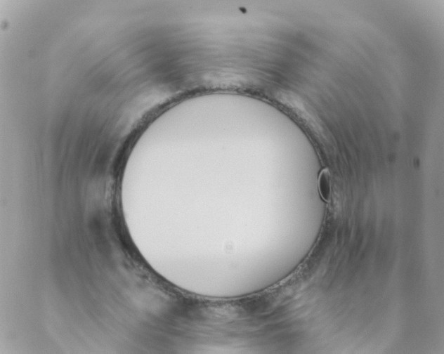 X0000089420583200707061321