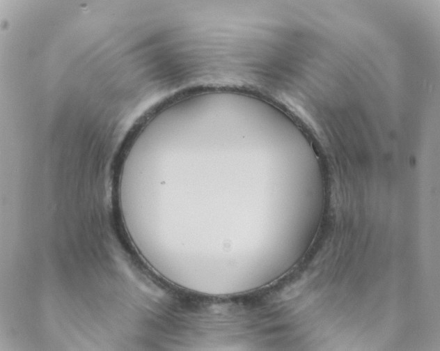 X0000089420584200707061321