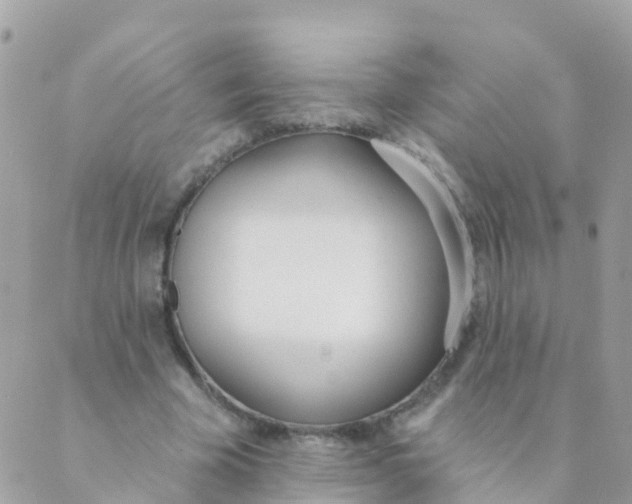 X0000089420585200707061321