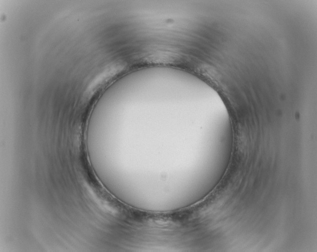 X0000089420586200707061321