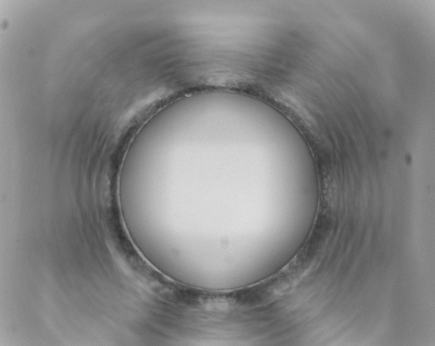 X0000089420587200707061321