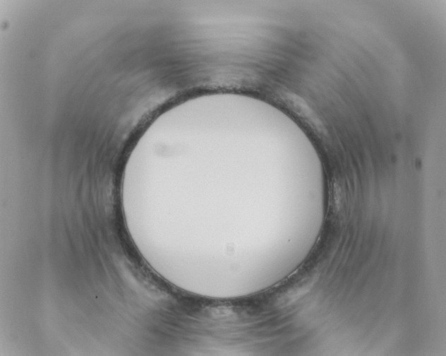 X0000089420588200707061321