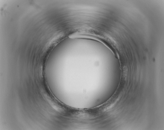 X0000089420589200707061321