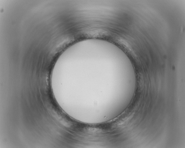 X0000089420590200707061321