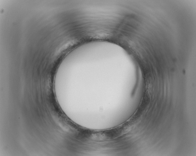 X0000089420591200707061321