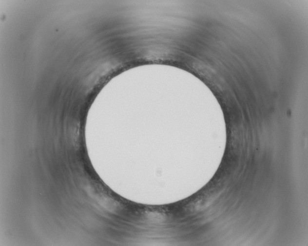 X0000089420592200707061321