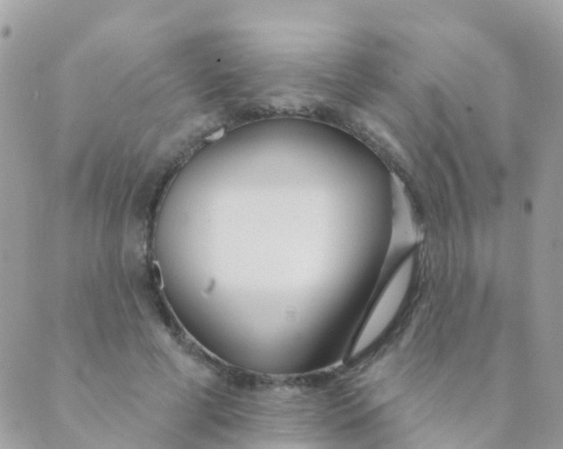 X0000089420593200707061321