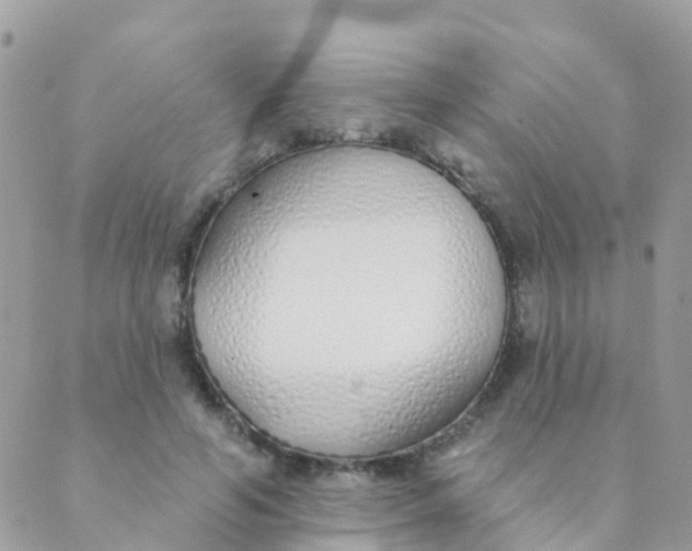 X0000089420594200707061321