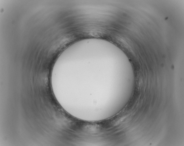 X0000089420595200707061321