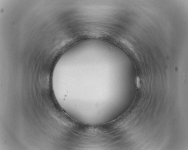 X0000089420596200707061321