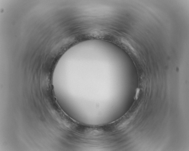 X0000089420597200707061321