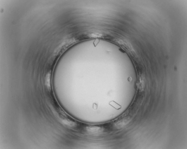 X0000089420598200707061321