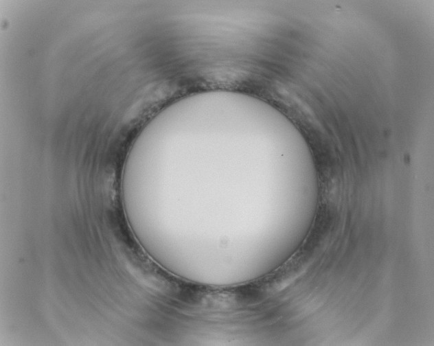 X0000089420599200707061321