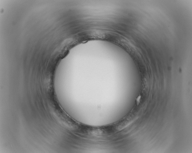 X0000089420600200707061321