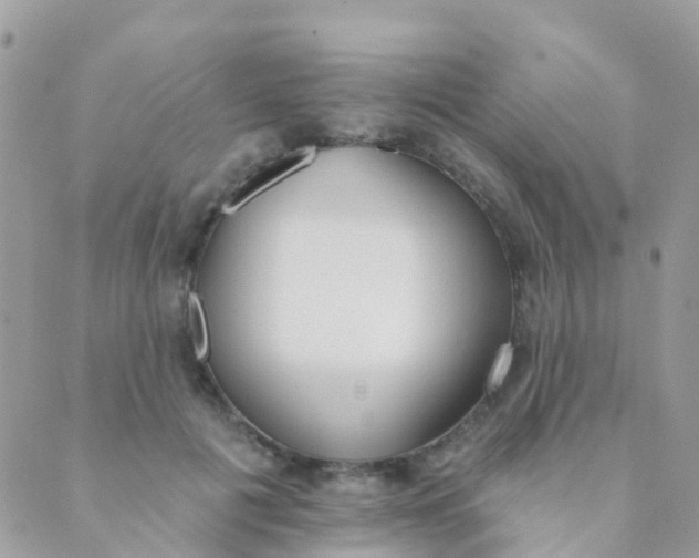 X0000089420601200707061320