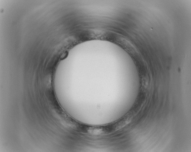 X0000089420602200707061320