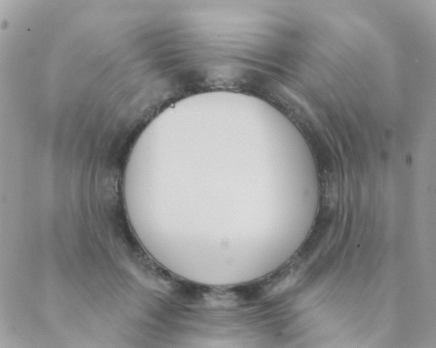 X0000089420603200707061320