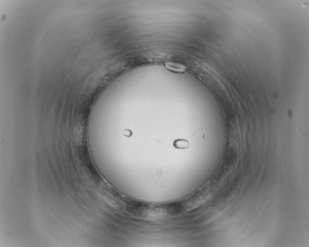 X0000089420604200707061320