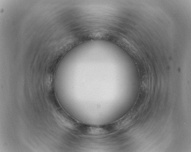 X0000089420605200707061320