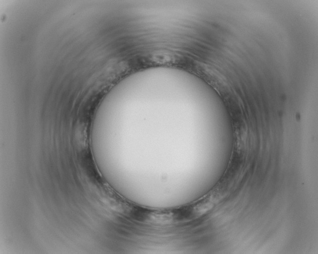 X0000089420606200707061320