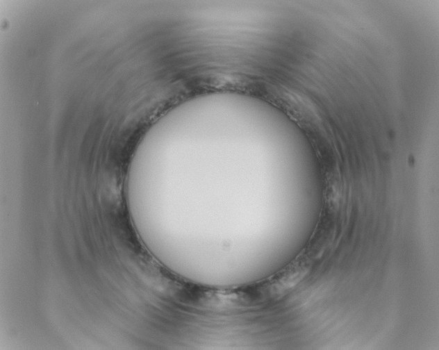 X0000089420607200707061320