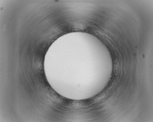 X0000089420608200707061320