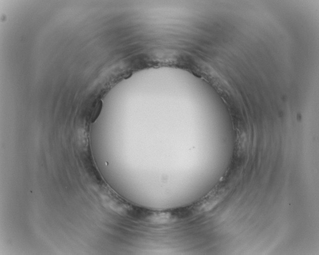 X0000089420609200707061320