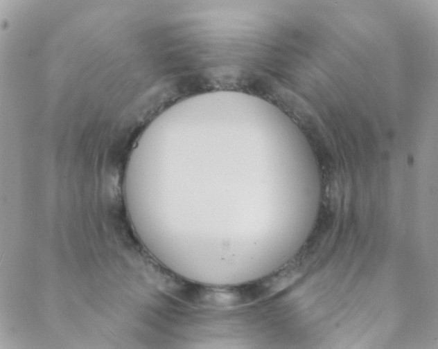 X0000089420610200707061320