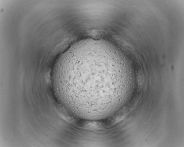 X0000089420611200707061320