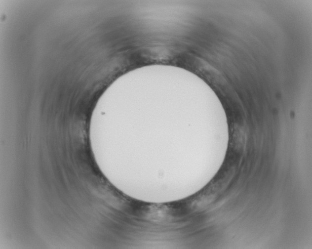 X0000089420612200707061320