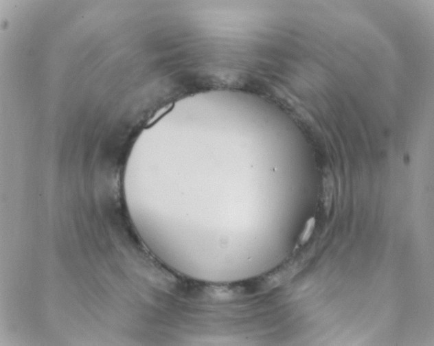 X0000089420613200707061320