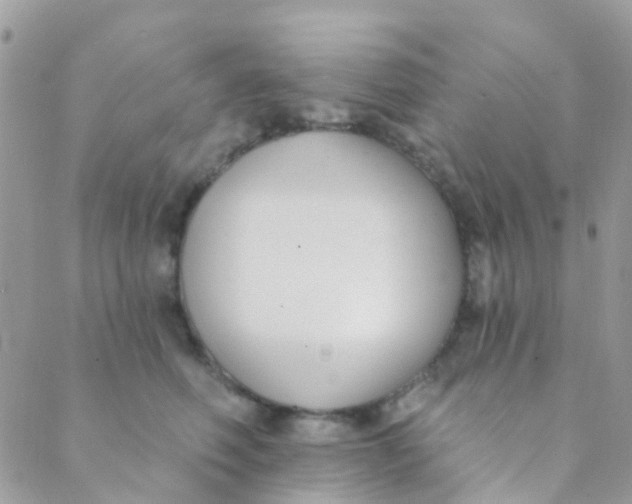 X0000089420614200707061320