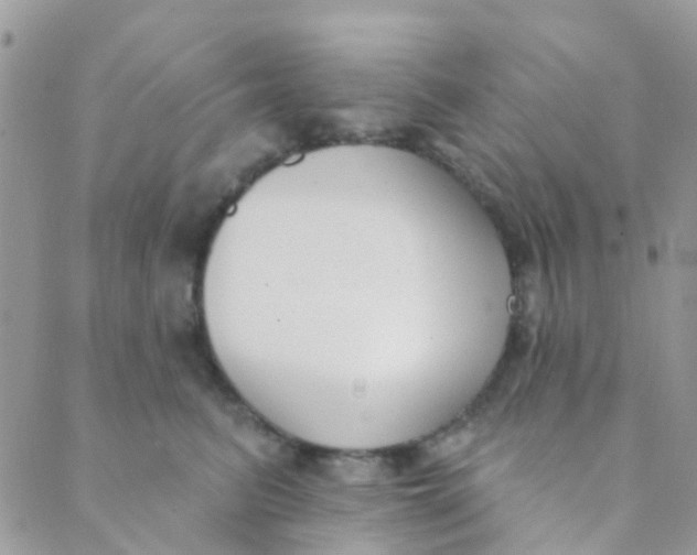 X0000089420615200707061320