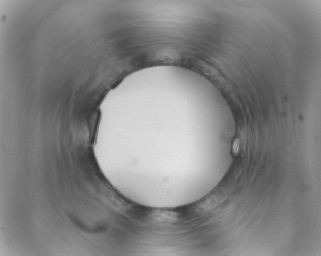 X0000089420617200707061320