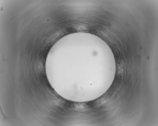 X0000089420618200707061320