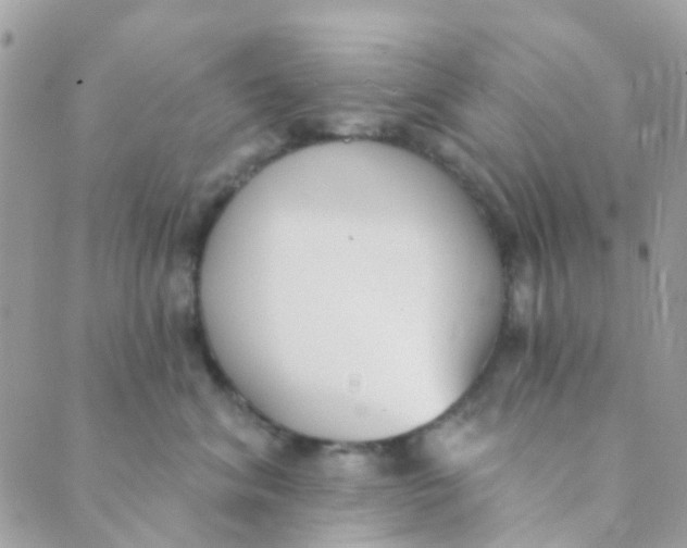 X0000089420620200707061320