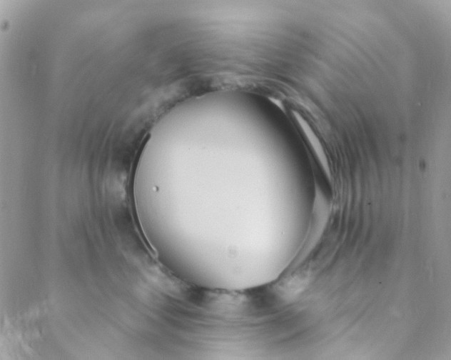 X0000089420621200707061320